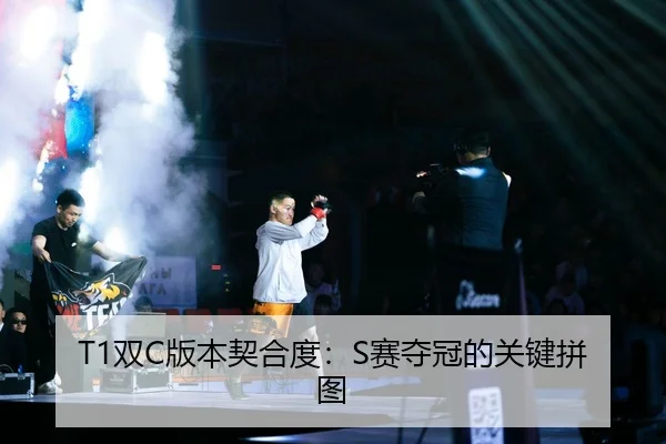 shuang-ban-ben-qi-he-du-sai-duo-guan-de-guan-jian-pin-tu-2-343.jpg