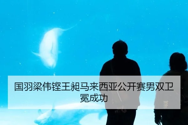 guo-yu-liang-wei-keng-wang-chang-ma-lai-xi-ya-gong-kai-sai-nan-shuang-wei-mian-cheng-gong-2-370.jpg
