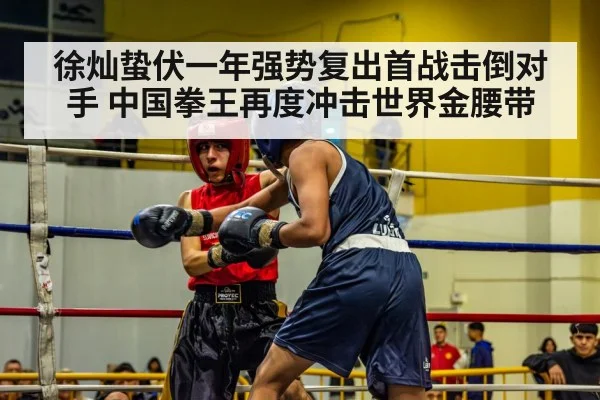 徐灿蛰伏一年强势复出首战击倒对手 中国拳王再度冲击世界金腰带