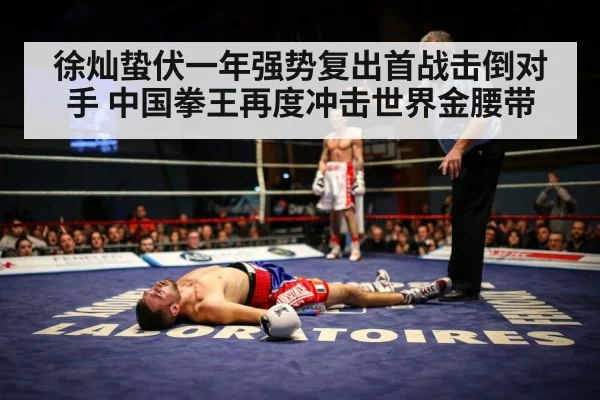 boxing ring knockout