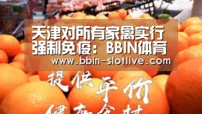 BBIN篮球