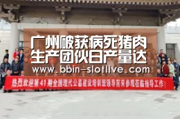 BBIN体育