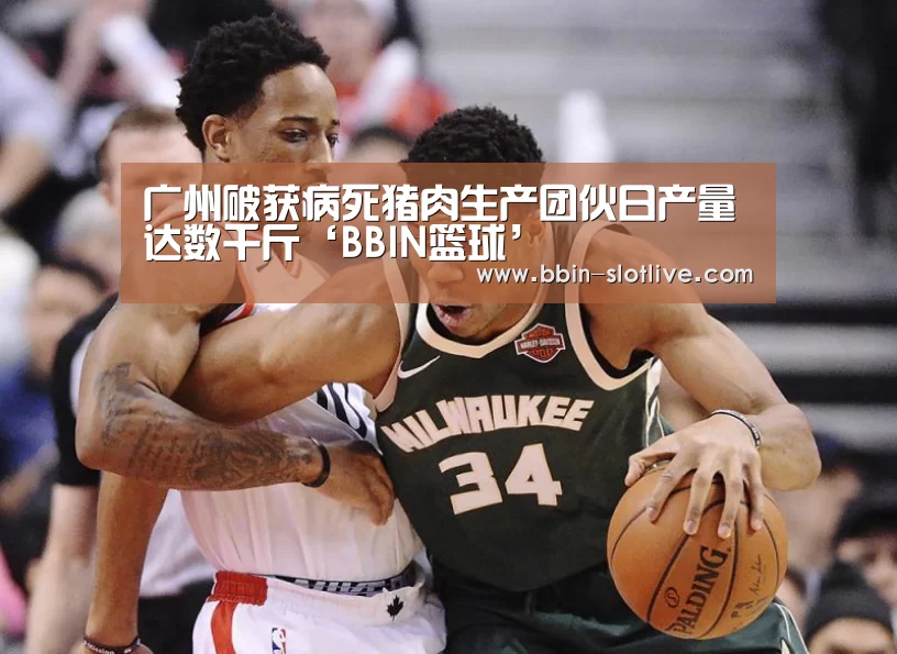 BBIN足球
