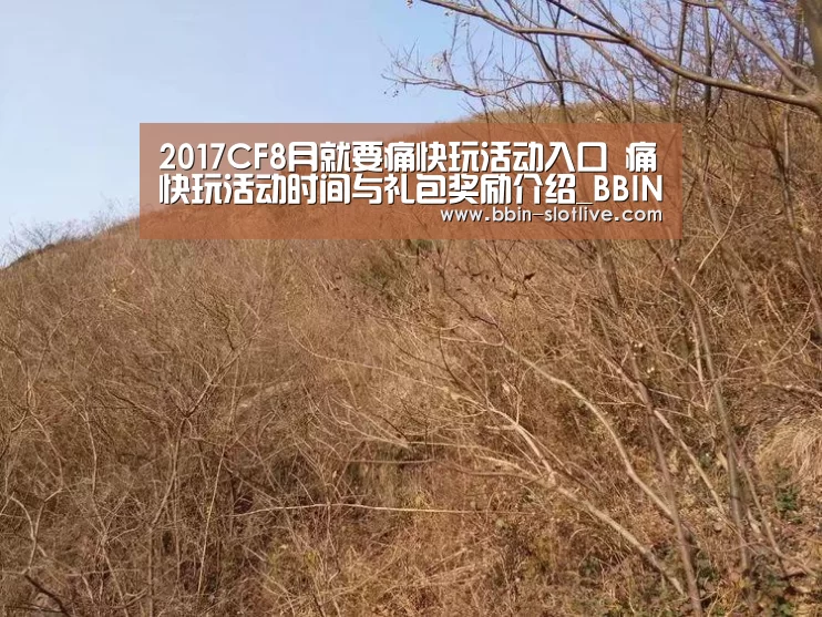 BBIN电竞