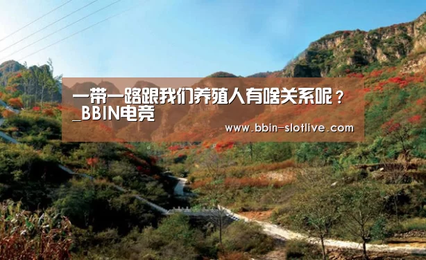 BBIN足球