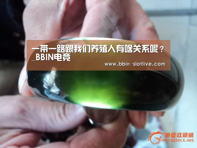BBIN足球