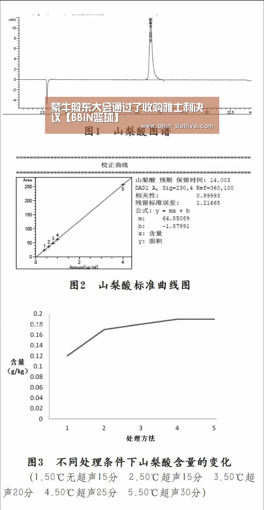 BBIN电竞