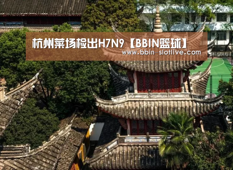 BBIN足球